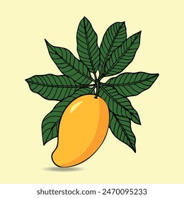 Mango fruit illustration vector PNG