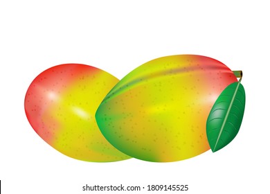 Mango fruit isolated on white background. Realistic yellow, red, green ripe mango with green leaf for packaging, label or banner design. Fresh juicy tropical exotic fruitage. Stock vector illustration