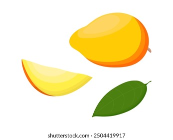 Mango fruit isolated on a white background. Vector illustration, icon of fruits. Whole and chopped mango in a hand-drawn style.