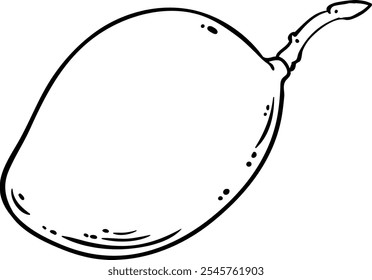 Mango Fruit Isolated Outline Illustration.