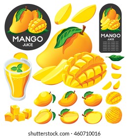 Mango Fruit Isolated Vector