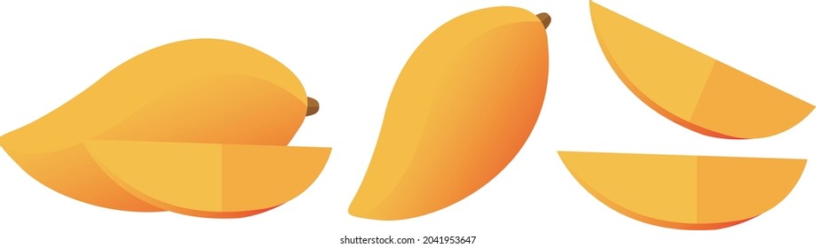 Mango fruit isolated, vector illustration