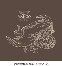 Mango fruit,  leaves and slice of mango. Vector hand drawn illustration