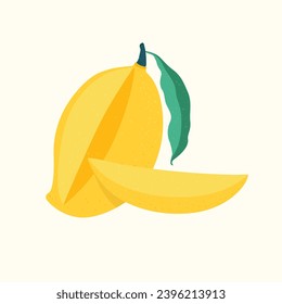Mango Fruit, minimalistic illustration. Botanical elements for design.