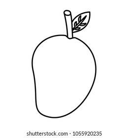 mango fruit nutrition diet fresh healthy lifestyle 