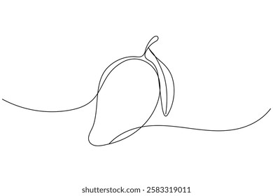 Mango fruit one line drawing and minimalist style isolate outline vector illustration