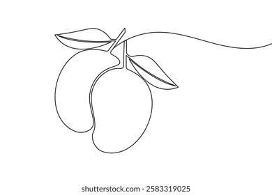 Mango fruit one line drawing and minimalist style isolate outline vector illustration