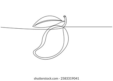 Mango fruit one line drawing and minimalist style isolate outline vector illustration
