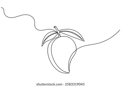 Mango fruit one line drawing and minimalist style isolate outline vector illustration