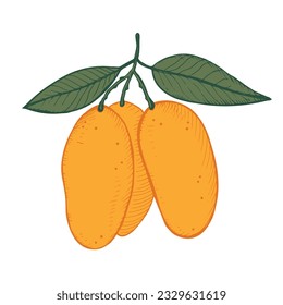 Mango-Obstpflanze, Vektorgrafik auf isoliertem weißem Hintergrund. Handgezeichnet in der Technik der Gravur einer Skizze eines Mango Baum. Design-Element für Beschriftung, Vorlage, Hintergrund, Logo, Druck