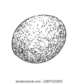 mango fruit ripe hand drawn. leaf yellow, tropical cut, green sweet, slice red, juice dessert mango fruit ripe vector sketch. isolated black illustration