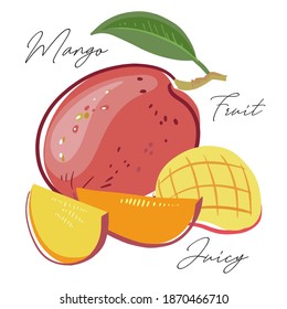The mango fruit is simplified, stylized for logo, design, backgrounds, patterns. Vector illustration, handmade, full color.