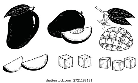 Manga Fruto e fatias em preto e branco Palavras-chave: manga, fruta, tropical, comida, doce, maduro