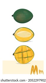 Mango fruit. Vector art. Green red mango, half and sliced peace of exotic  tropical fruit.