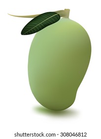 mango fruit vector for food and for use icon or symbol 