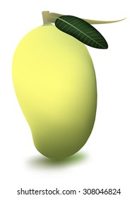 mango fruit vector for food and for use icon or symbol 