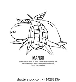 mango fruit vector illustration.