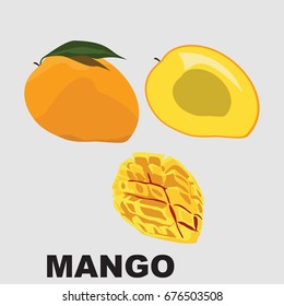 mango fruit vector illustration