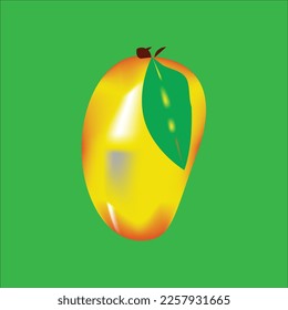 Mango fruit vector isolated, Vector illustration of tropical fruit, Mango icon, Fresh , Mango and leaf isolated green background, realistic mango vector illustration, eps 10,