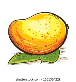 mango fruit vector, isolated image