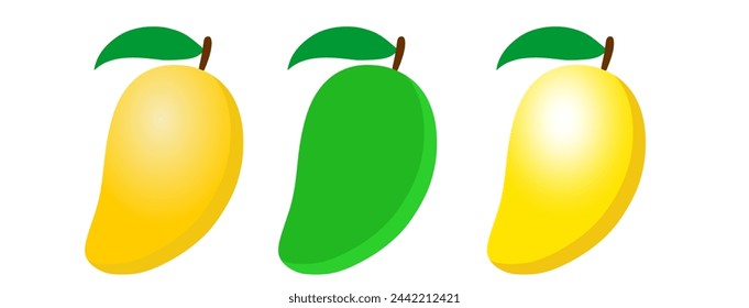 Mango fruit vector isolated.Mango fruit vector isolated.