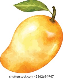 fruto del mango   elemento aislado de ilustración de color de agua