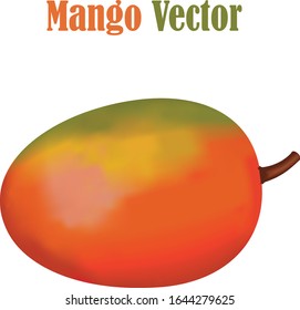 Mango fruit without background - vector