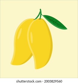 Mango fruit yellow leaf vetor