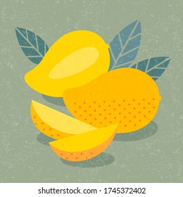 Mango fruits illustration.  Ripe whole, half of fruit and sliced mango with leaves on shabby background. Flat illustration.