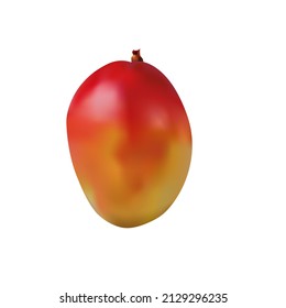 mango gradient mesh vector element clip art