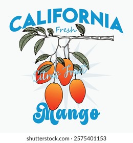 Mango graphic print design, summer fruit design ,vintage grunge food fashion Mango art, typography slogan text print design, California Malibu, fruit print graphics for t-shirt Design. Nature fruit 