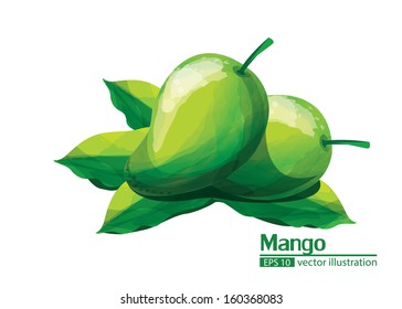 mango green illustrator vector