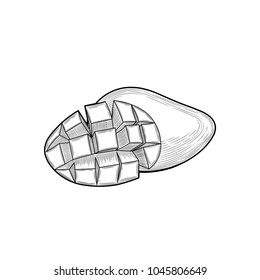 Mango. Half a mango. Fruit crop. Exotic fruit. Illustration. Isolated on white background.