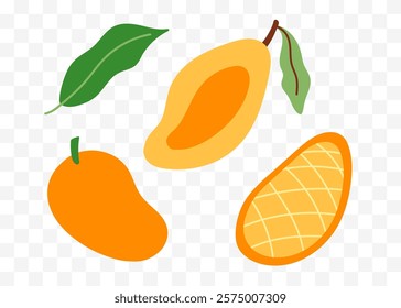 Mango half and whole fruit. Set of hand drawn abstract colorful fruits. Natural tropical collection. Vector illustration in modern cute flat cartoon style.