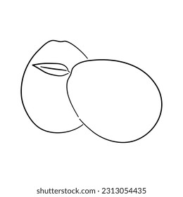 Mango. Icono de doodle de esquema dibujado a mano. Transparente aislado en el fondo blanco. Ilustración vectorial.