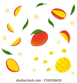 Mango hand drawn vector illustration. Mango fruit set. Whole, sliced, cut mango fruit, leaves, mango hedgehog. Design template