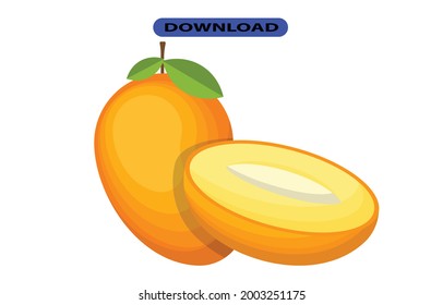 mango icon or logo high resolution