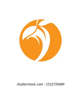 mango icon Vector Illustration design Logo template
