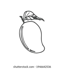 Mango icon vector on white background