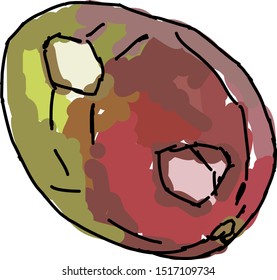 Mango, illustration, vector on white background.