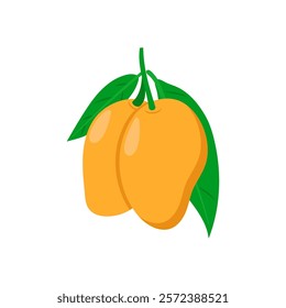 Mango, Indian Symbol Vector Illustration