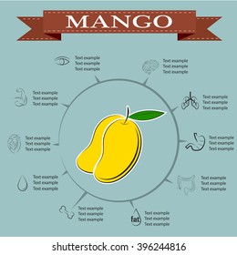 Mango Infographics , Fruit . vector illustration