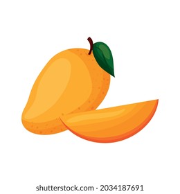 mango aislado sobre fondo blanco. ilustración vectorial