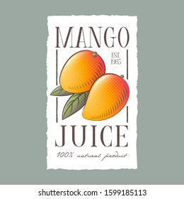 Mango juice label. Healthy fruit beverage. Two yellow-orange fruits with leaves on a white label with uneven edge. Engraving Style Illustrations.