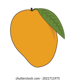 Mango with Leaf Vector Illustration Isolated on White Background.