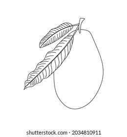 Mango with leaves linear icon on a white background. Thin black line customizable illustration. Vector.