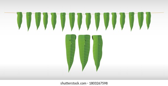 Mango leaves toran for festival celebration. Natural buntings with leaves for festival celebration. Indian traditional buntings for festival and Door frame. Decorative bunting.