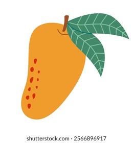 Mango with leaves vector illustration icon clipart. Hand drawn mango logo, whole tropical exotic fruit isolated on white background. Summer ripe fruit