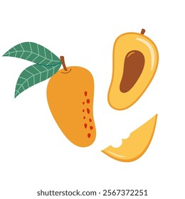 Mango with leaves vector illustration icon. Hand drawn mango logo, tropical exotic fruit isolated on white background. Whole fruit, halved mango with a stone and a juicy piece