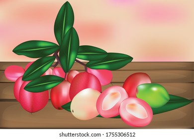 Mango lime yawn yell, vector, Bengal Currant, Christ's Thorn